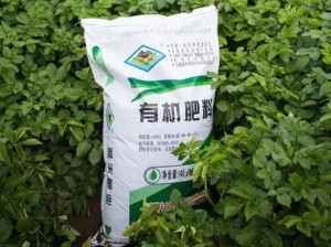 新型高效环保的bb 肥，让农业种植更轻松