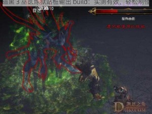 暗黑 3 巫医炼狱站桩输出 build：实测有效，轻松刷怪