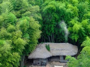 探索应天府：竹林草屋的神秘之处