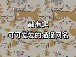 猫咪 mav 最新地域网名怎么取？不懂这些技巧可不行