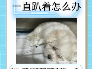 狗狗哼哼唧唧扭来扭去是怎么回事？