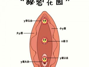 水蜜桃是指女生的哪个私密部位？如何保护和护理私密部位？