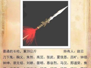 三国如龙传破军 70 级武器飞龙御天资料大揭秘