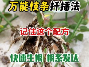 如何在 54 次扦插中掌握 72 种方法？