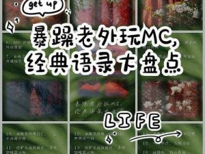 暴躁老外玩MINECRAFT法式介绍