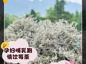 为什么陶软要用小洞榨草莓汁？如何实现？会有什么影响？