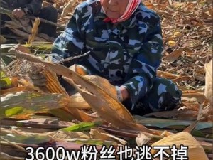 videosss 中国农村：展现真实农村生活的短视频平台