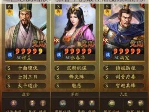 三国志战略版：张春华的最佳搭配策略解析