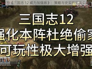 体验《三国志 12 威力加强版》：策略与史实的完美交融