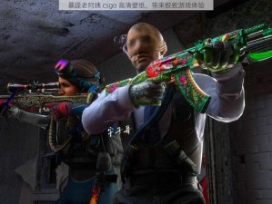 暴躁老阿姨 csgo 高清壁纸，带来极致游戏体验