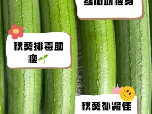 草莓丝瓜向日葵幸福宝绿巨人有什么用？如何正确使用这些产品？