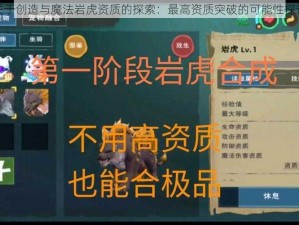 关于创造与魔法岩虎资质的探索：最高资质突破的可能性探讨