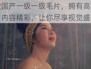 这款国产一级一级毛片，拥有高清画质，内容精彩，让你尽享视觉盛宴