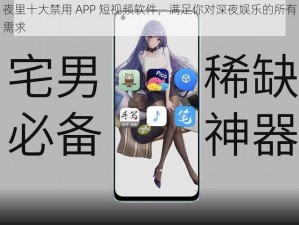 夜里十大禁用 APP 短视频软件，满足你对深夜娱乐的所有需求