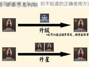 阴阳师狗粮大队长：你不知道的正确使用方法