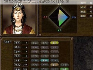 五胡三国双开神器助您轻松实现一键挂机，轻松搞定五胡三国游戏双开体验