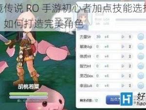 仙境传说 RO 手游初心者加点技能选择推荐：如何打造完美角色