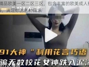 91 精品欧美一区二区三区，包含丰富的欧美成人视频资源，满足你的各种需求