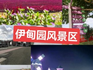 伊甸园国际交友;伊甸园国际交友：探寻浪漫爱情的圣地