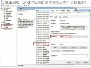 欧美 VPS、WINDOWSHD 速度慢怎么办？如何解决？