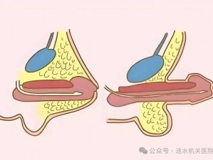 双茎同入的视频(双茎同入的视频：探索两性奥秘的新视角)