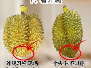 水果中的五朵金花，草莓、丝瓜、向日葵、樱桃、榴莲，你更喜欢哪一个？