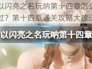 以闪亮之名玩呐第十四章怎么过？第十四章通关攻略大放送