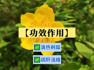 利尿水，让你在利尿游戏中轻松获胜