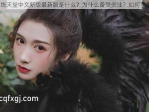 在线天堂中文新版最新版是什么？为什么备受关注？如何获取？