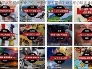 成品人短视频大全 IOS，一款汇聚海量精彩短视频的娱乐神器