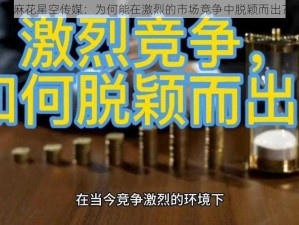 麻花星空传媒：为何能在激烈的市场竞争中脱颖而出？