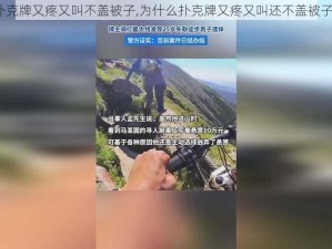 扑克牌又疼又叫不盖被子,为什么扑克牌又疼又叫还不盖被子？