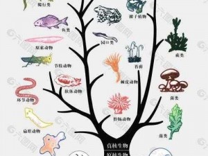 探寻欧路普进化之谜：从单细胞到智慧生物的演化历程