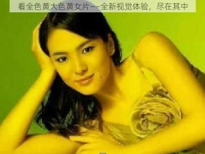 看全色黄大色黄女片——全新视觉体验，尽在其中