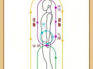 《武当剑手游经脉系统玩法深度解析：打通任督二脉的秘密》