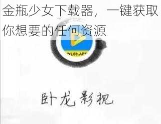 金瓶少女下载器，一键获取你想要的任何资源