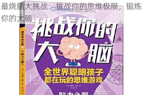 最烧脑大挑战：挑战你的思维极限，锻炼你的大脑