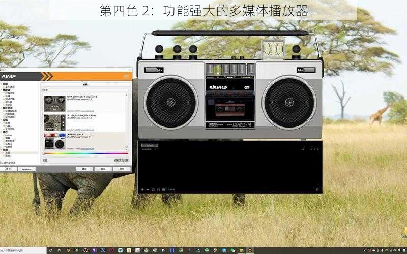 第四色 2：功能强大的多媒体播放器