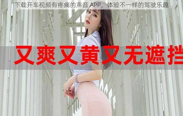 下载开车视频有疼痛的声音 APP，体验不一样的驾驶乐趣