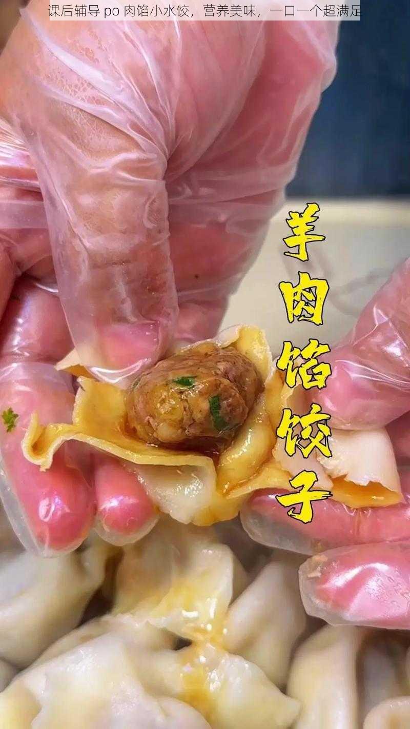 课后辅导 po 肉馅小水饺，营养美味，一口一个超满足