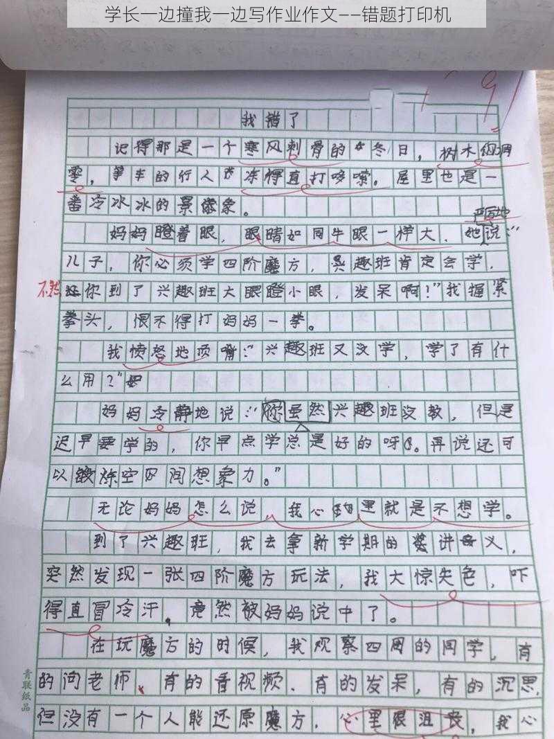 学长一边撞我一边写作业作文——错题打印机