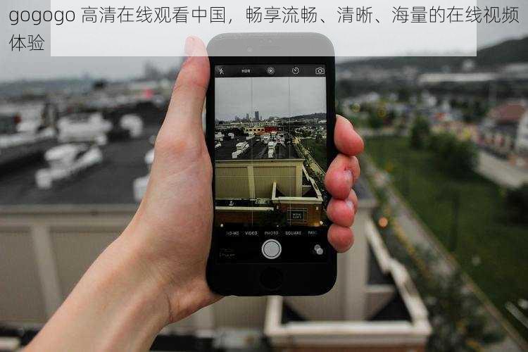 gogogo 高清在线观看中国，畅享流畅、清晰、海量的在线视频体验