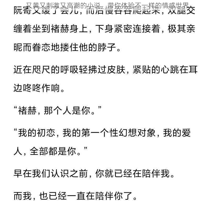 又黄又刺激又高潮的小说，带你体验不一样的情感世界