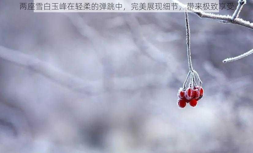 两座雪白玉峰在轻柔的弹跳中，完美展现细节，带来极致享受