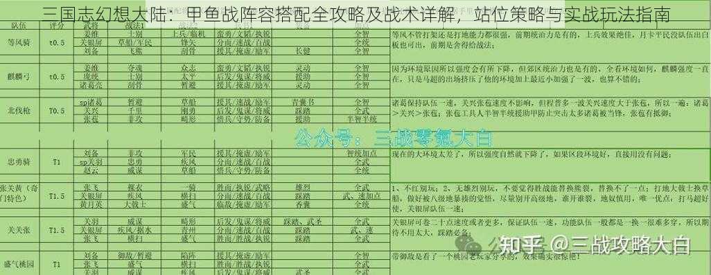 三国志幻想大陆：甲鱼战阵容搭配全攻略及战术详解，站位策略与实战玩法指南