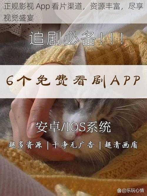 正规影视 App 看片渠道，资源丰富，尽享视觉盛宴