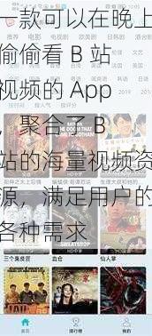 一款可以在晚上偷偷看 B 站视频的 App，聚合了 B 站的海量视频资源，满足用户的各种需求