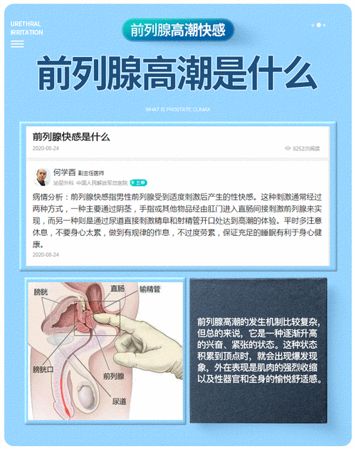 最新款男女肉大捧进出详细描写动态情趣玩具，满足你的所有需求