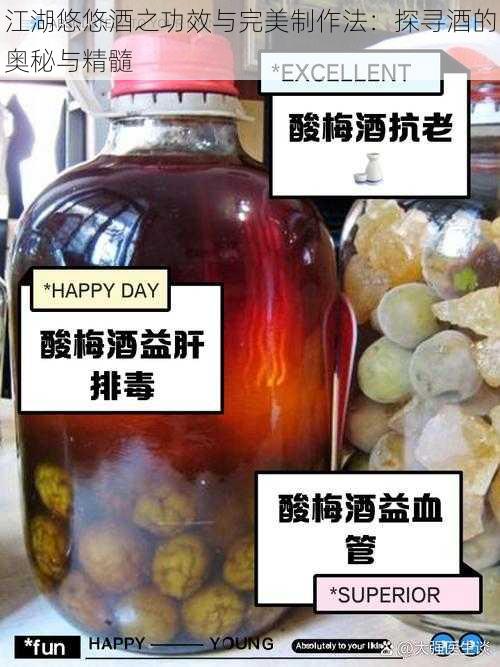 江湖悠悠酒之功效与完美制作法：探寻酒的奥秘与精髓