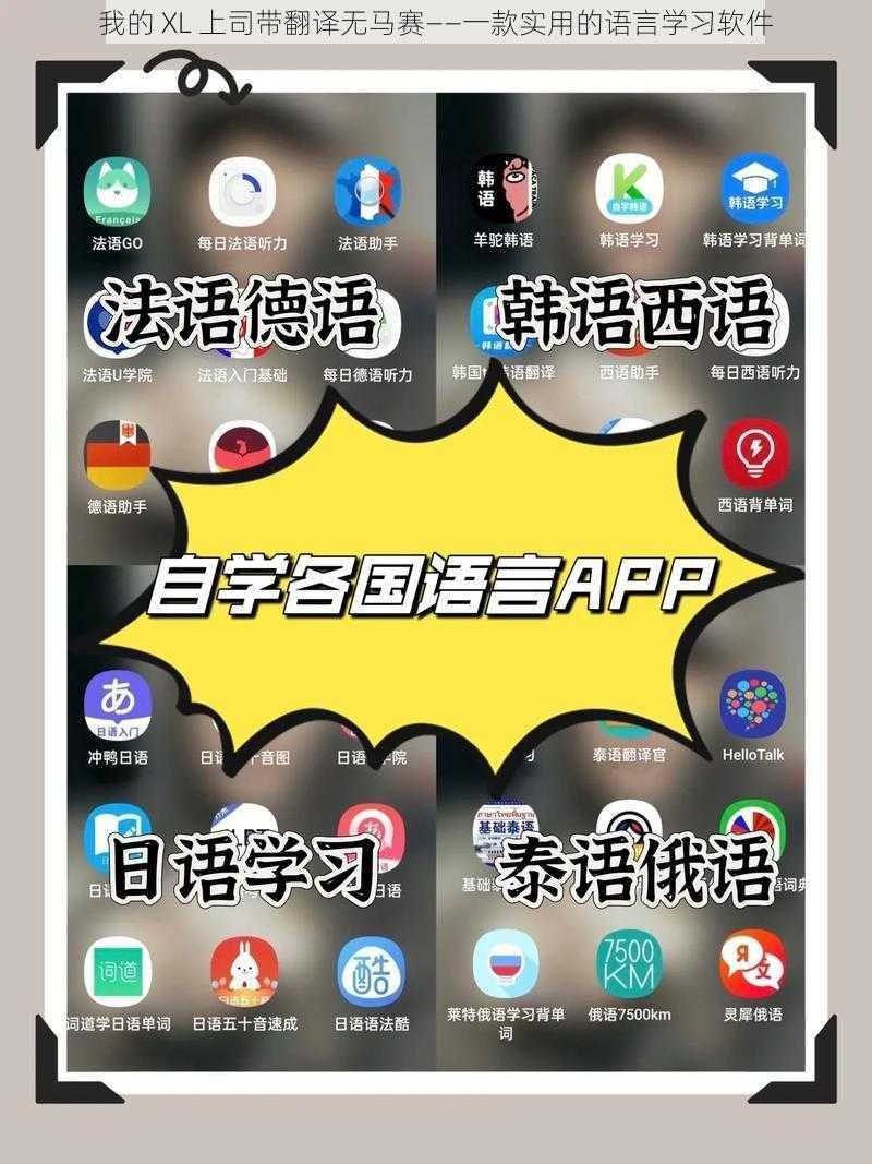 我的 XL 上司带翻译无马赛——一款实用的语言学习软件